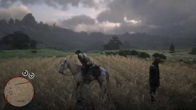 Уникальная шляпа пугала в RDR2\Red Dead Redemption 2 смотреть онлайн