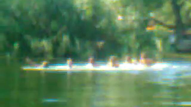 семеро на одном бревне 2