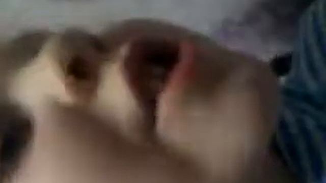 В голове моей туманы 😂 Девчонка жжот #прикол