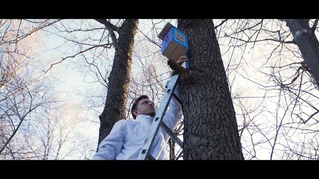 Акция "Подари дом птицам" в Курортном районе смотреть онлайн