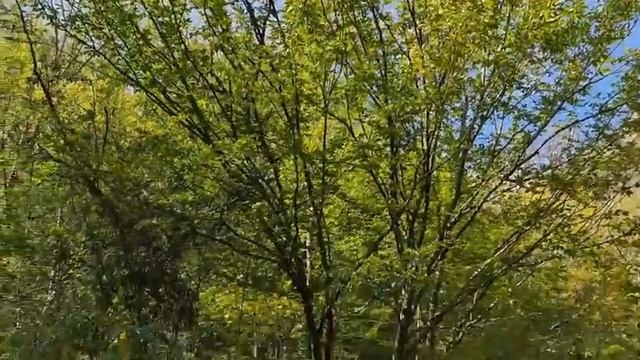 Для "каменного стояка" упражнение "Ворон" смотреть онлайн