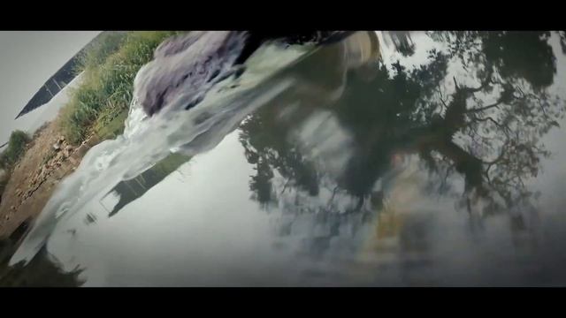 Monster Python (2018) | Trailer subtitulado en español смотреть онлайн