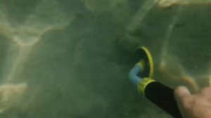 Подводный металлоискатель PI-IKING 750: обзор, отзывы, тест под водой