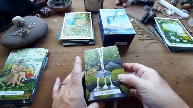 Waffle Madwitch style and Witches' Wisdom Tarot смотреть онлайн