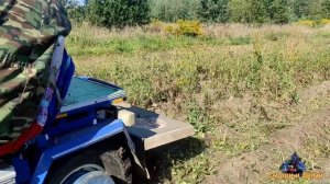 Как быстро убрать ботву картофеля трёхколёсным мотоблокам МТЗ БЕЛАРУС. Урожай 2021