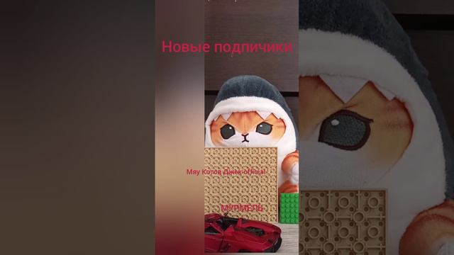 видио Для #МУРМЕЛЬ И #МЯУ Котов Джек official видио Для новых подписчиков смотреть онлайн