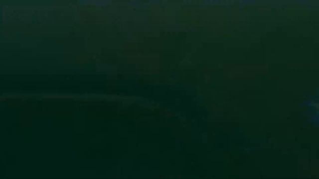 The All New Suzuki X-BEE Hybrid at Pakistan Auto Show | Expo Center Lahore | First Look смотреть онлайн