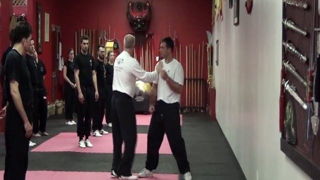 Fujian White Crane Kung Fu Applications Vol 1