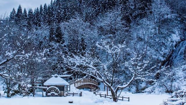 Евангелие дня. Святые дня. На́вечерие Рождества Христова (Рождественский сочельник). (06.01.2021) смотреть онлайн