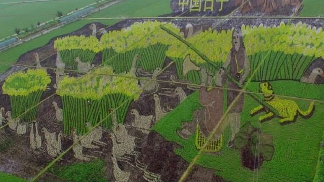 Позитивные Новости. Япония Китай картины на рисовых полях смотреть онлайн