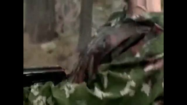 ПОГРАНЦЫ РЯДОВЫЕ БОЙЦЫ смотреть онлайн