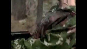 ПОГРАНЦЫ РЯДОВЫЕ БОЙЦЫ