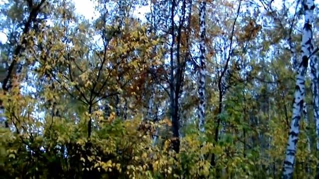 Видео. Осень, осень. смотреть онлайн