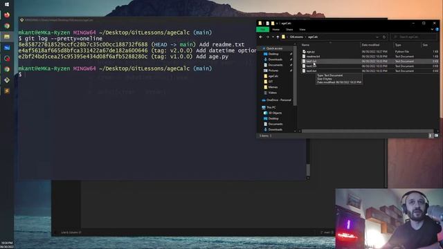 GIT N17. "ტეგირება" (tags) და ".gitignore" ინსტრუმენტი смотреть онлайн