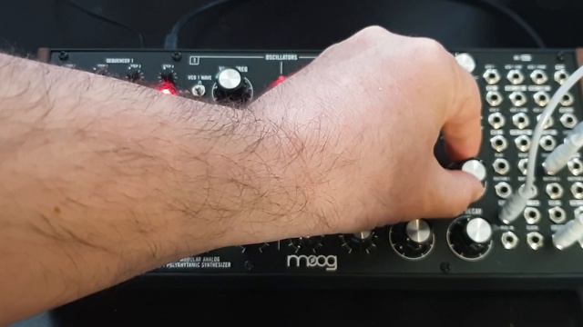 Moog Subharmonicon Synthesizer for Relaxing meditative music. смотреть онлайн