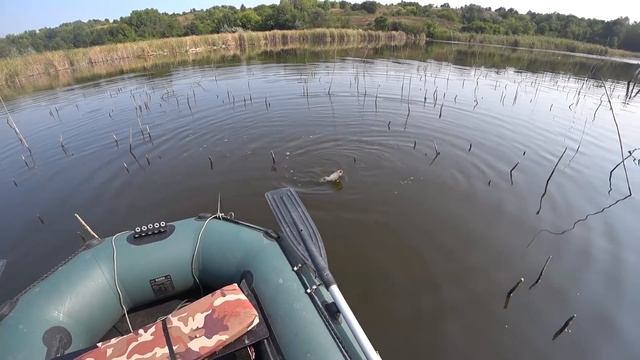 Поплавочная ловля карпа и карася. My fishing смотреть онлайн