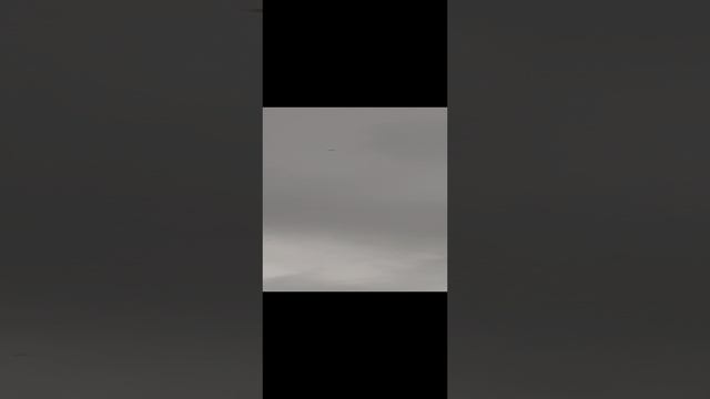 лебеди улетают