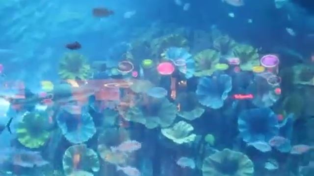 Dubai Aquarium & Underwater Zoo смотреть онлайн