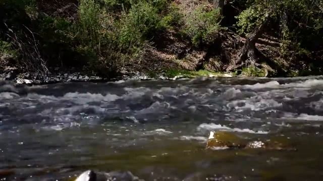 TopArtRelax: NatureVideo & NatureSounds смотреть онлайн