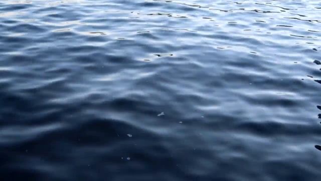 VLOG/МОРЕ/МЕДУЗЫ/ПАРИКМАХЕРСКАЯ/ смотреть онлайн