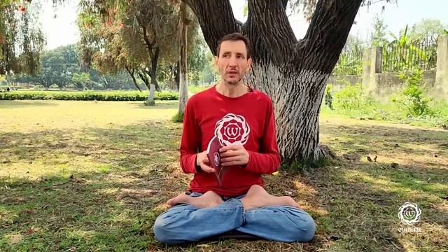 Мудрость Вималакирти. Как понимать суть Дхармы? Андрей Верба смотреть онлайн