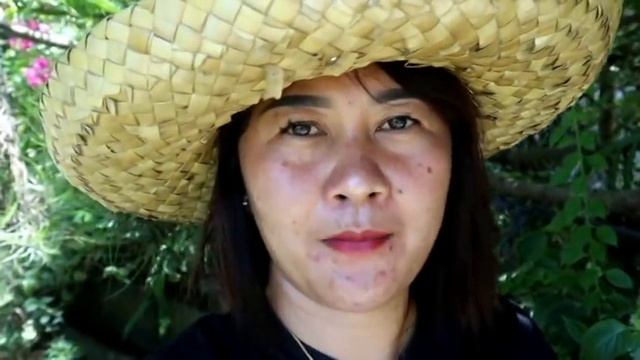 Bougainvillea Tips | How to Air Layering Bougainvillea Propagation | Easy Steps | Marcotting смотреть онлайн