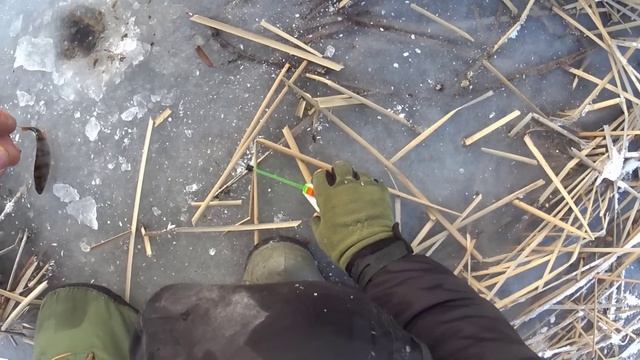 ДОН ! ЛЕД ! ОКУНЬ СПРЯТАЛСЯ В КАМЫШ !!! смотреть онлайн