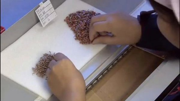 Клавиатура компьютера