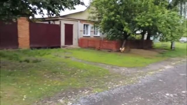 Видео обращение в Н Ломовскую прокуратуру смотреть онлайн