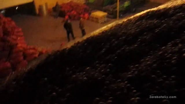 Склад лука репки на 3000 тонн. Халцедон. смотреть онлайн
