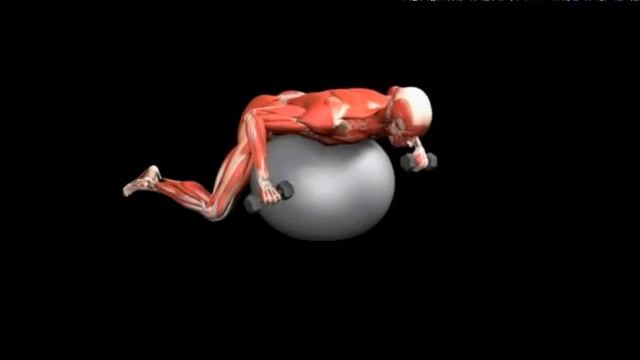 Упражнение пугало с гантелями на фитболе Stability Ball Dumbbell Scarecrow смотреть онлайн