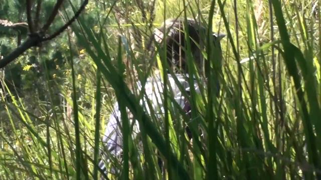 Возрождение (игра 22.08.15) [Периметр-33] смотреть онлайн