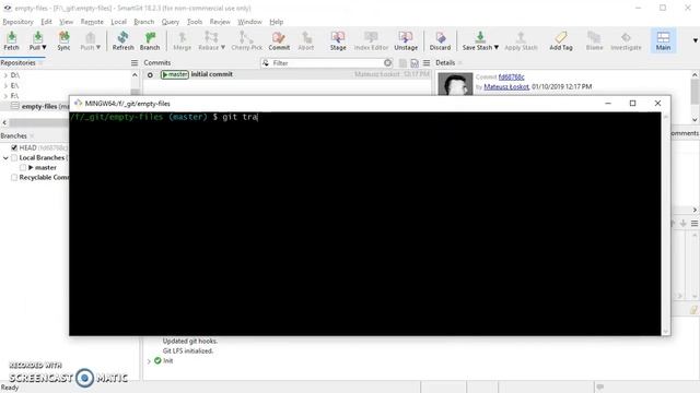 SmartGit 18.2.3: Local - LFS - Track (Part 1) смотреть онлайн