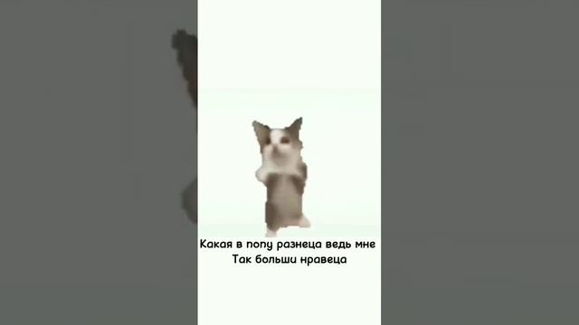 Почему котикам компьютеры не нравятся? смотреть онлайн