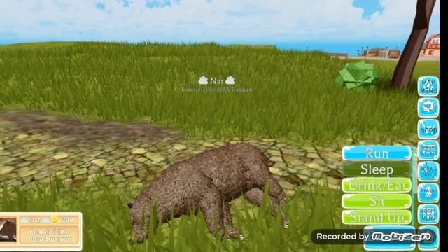 Обзор на МЕДВЕДЯ в Roblox Farm World) ?? (пишите на кого сделать обзор) смотреть онлайн