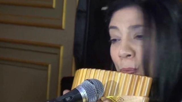 amr diab song on panflute - we malo смотреть онлайн
