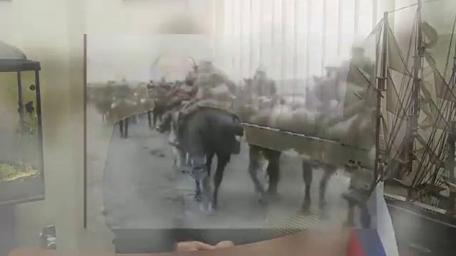 Разоблачение лжепрестолонаследников Романовых Гогенцоллернов 1 часть Проекта смотреть онлайн