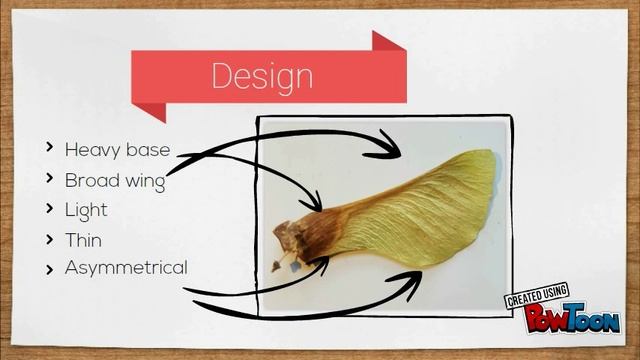 ENGS102P - How Maple seeds spin and float effectively - Design Idea for wind blade смотреть онлайн
