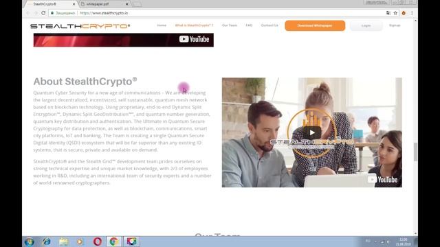 STEALTHCRYPTO - защита данных с помощью технологии блокчейн нового поколения смотреть онлайн