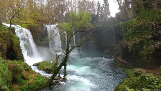 Pan Flute Music - Carlos Carty - Relaxing Music смотреть онлайн