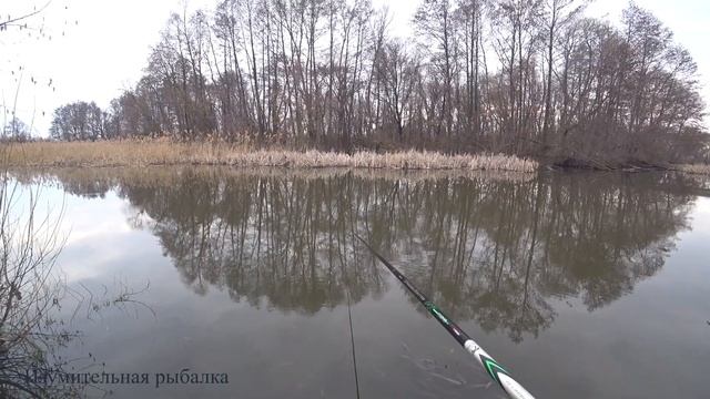 Плотва. Ловля Крупной ПЛОТВЫ. Плотва на поплавок. На рыбалке в День Рождения! смотреть онлайн