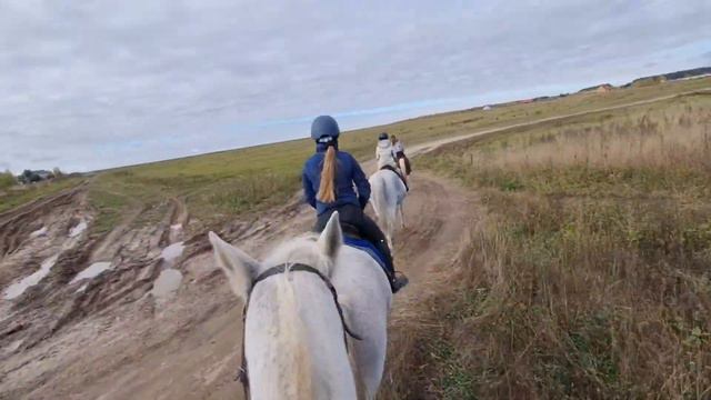 СК "Буденновец" Дмитров. смотреть онлайн