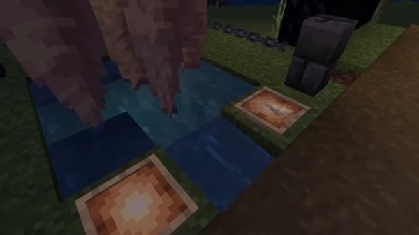 Minecraft Bugs&Glitches 1.17.32! (Easy Duplication Glitch ,X-Ray Glitch & MORE)