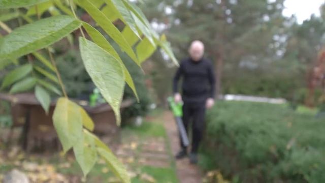 Сергей Сафронов убирает листья воздуходувом Greenworks