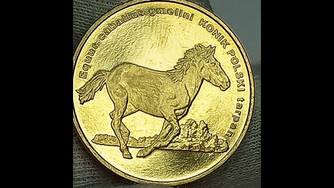 Сколько стоит монета 2 злотых 2014 года. Польский коник. Польша.