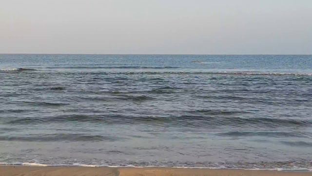 Убирают сеть. Воздух + 11.5 Море + 14.5 - 7.15 утра 18.10.2018 смотреть онлайн