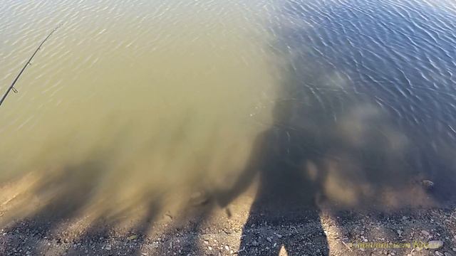 Рыбалка-болталка и мои самоделки. смотреть онлайн