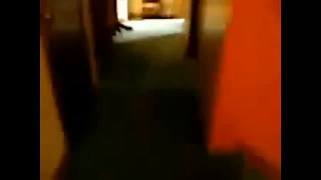 Мяу Channel - Кошачий дрифт смотреть онлайн