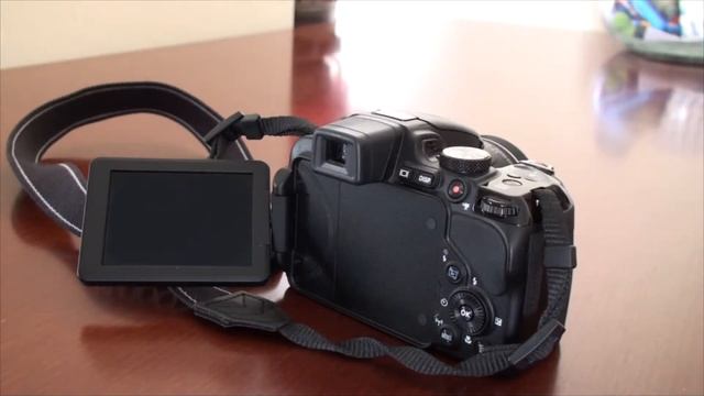 Nikon P600 Full Zoom & Show off смотреть онлайн