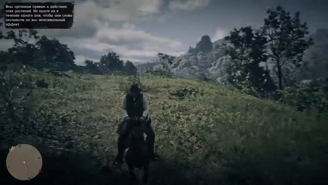 RDR2: Испытание травника #2 (Собрать и съесть 4 вида ягод) смотреть онлайн